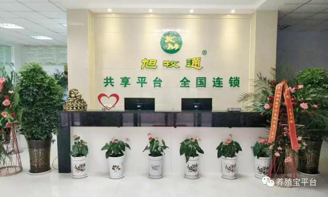 旭牧通2020年,旭牧通全部产品讲解