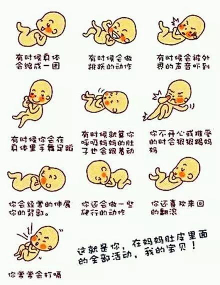 怀孕8个月胎动视频,怀孕8个月胎动不明显