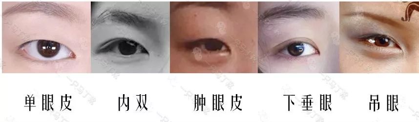 lagirl眼影465画法教程单眼皮,肿眼皮单眼皮怎么画眼影