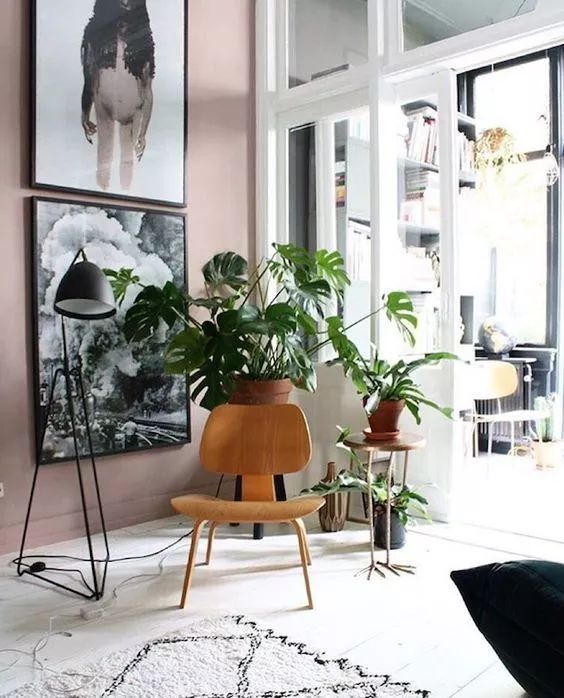 风靡全球的脏粉色系客厅搭配,流行家居配色中性色