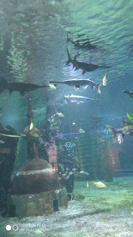 自驾游环游中国路线安徽出发,开封至安徽黄山自驾游攻略