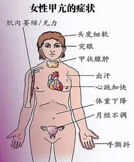 减肥智商税产品,减肥产品你交过几样智商税