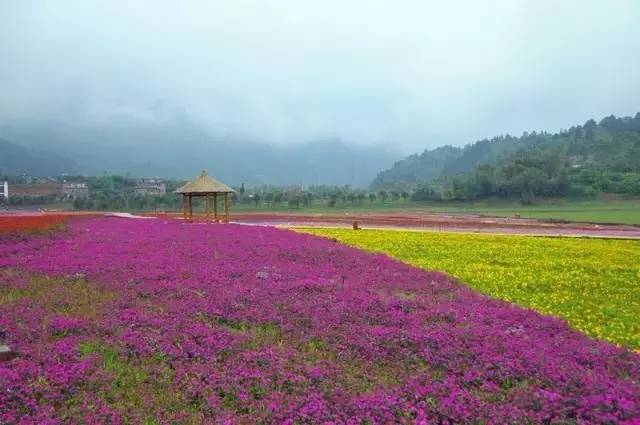 不吹牛了,不吹牛你会怎么样