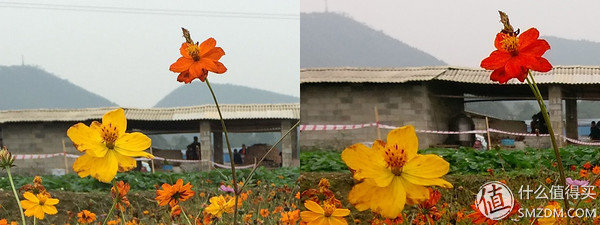 htcone和a9,htconea9和a9w