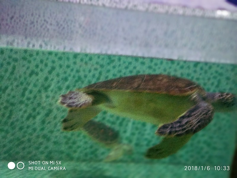 自驾游环游中国路线安徽出发,开封至安徽黄山自驾游攻略