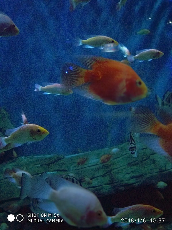 自驾游环游中国路线安徽出发,开封至安徽黄山自驾游攻略