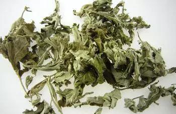 夏日驱蚊虫的方法,夏日防蚊小妙招蚊子再也进不了家