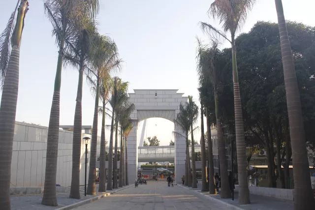 15秒带你去厦门旅游攻略,厦门每日游攻略