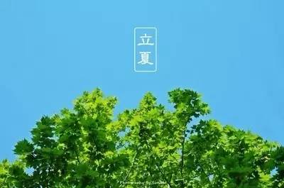 却是石榴知立夏,却是石榴知立夏年年花开什么意思