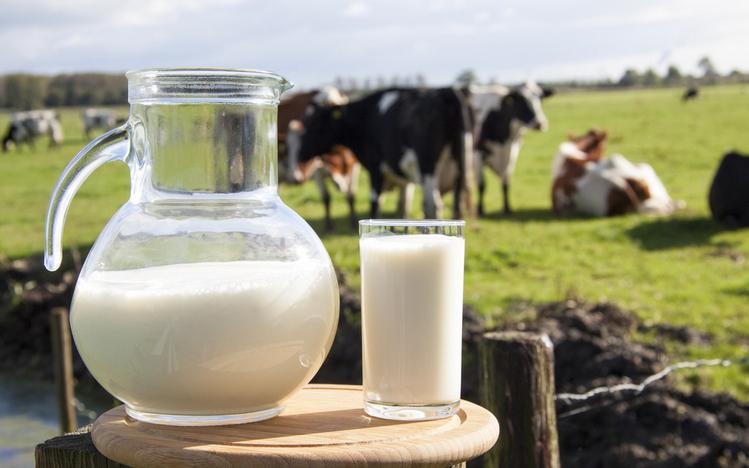 舒化奶叫什么,舒化奶是不是复合奶