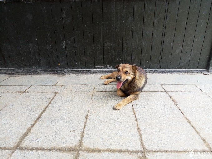 魅族pro6手机测评,魅族pro6功能介绍