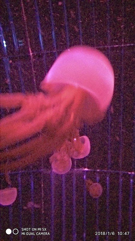 自驾游环游中国路线安徽出发,开封至安徽黄山自驾游攻略