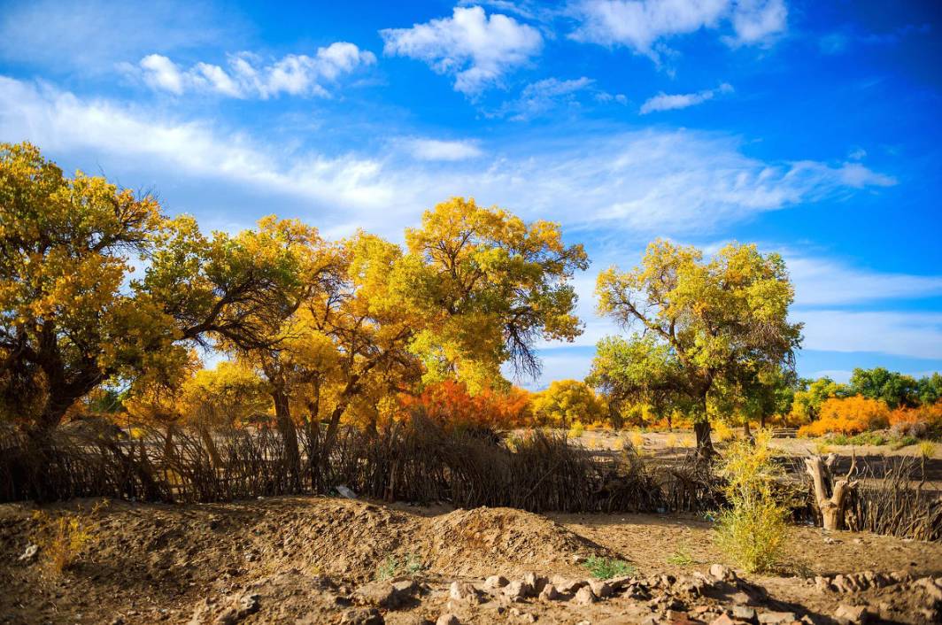盘点6条值得一去的绝美路线,中国适合自驾旅行的45条路线
