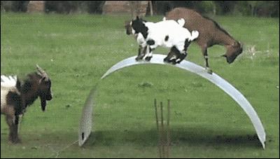 西安市公共电动自行车,2022年西安公共自行车免费时间表