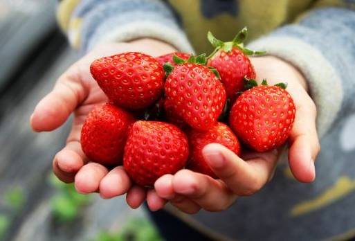 汉中一日游攻略高铁,汉中周边2-3天短途旅游坐高铁