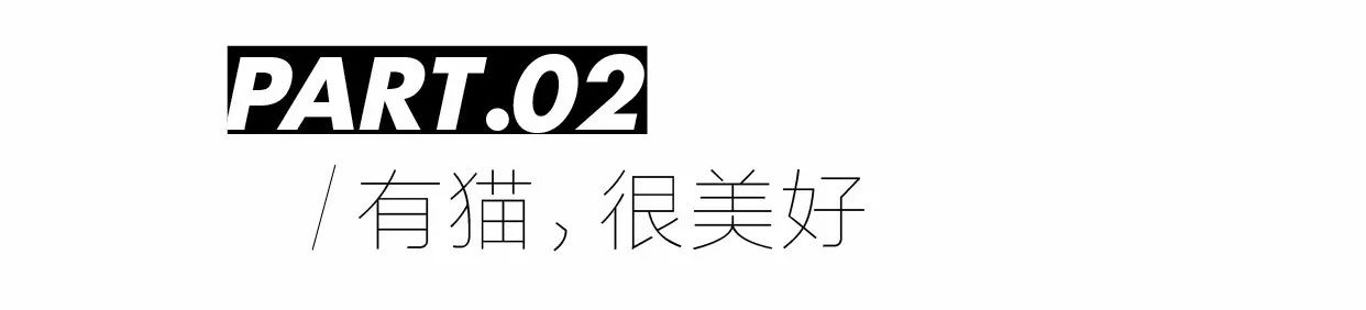 现在最火的化妆品全套,最流行高档化妆品