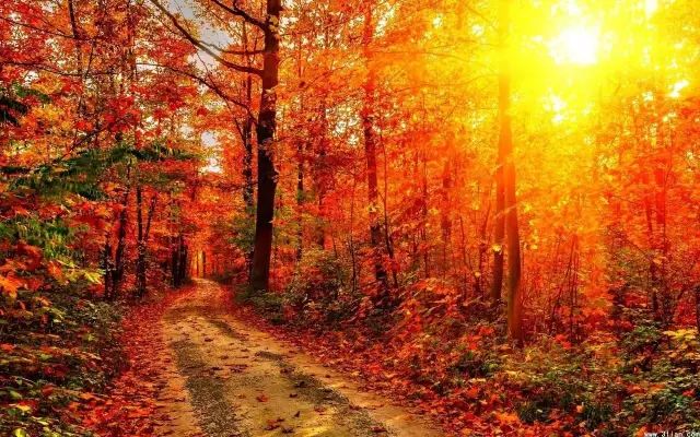 姹変腑鍧愰珮閾佺帺鐨勫ソ鍘诲,鍘绘眽涓帺濂借繕鏄幓骞垮厓鐜╁ソ