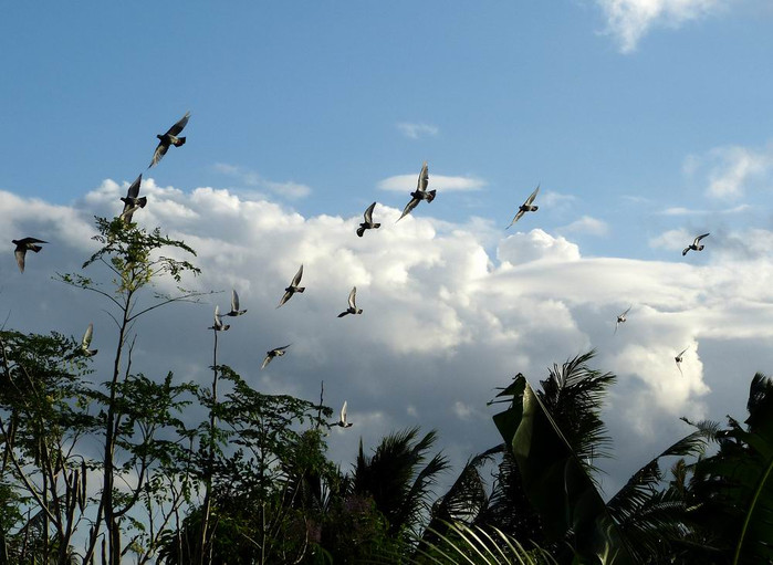 长滩之旅分享篇,长滩旅游行程