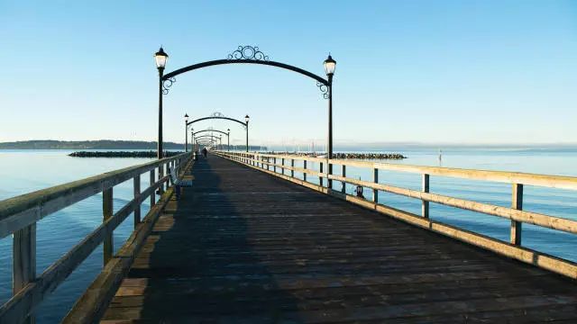 美加边境上的瑰宝：为什么中国买家如此青睐白石镇？