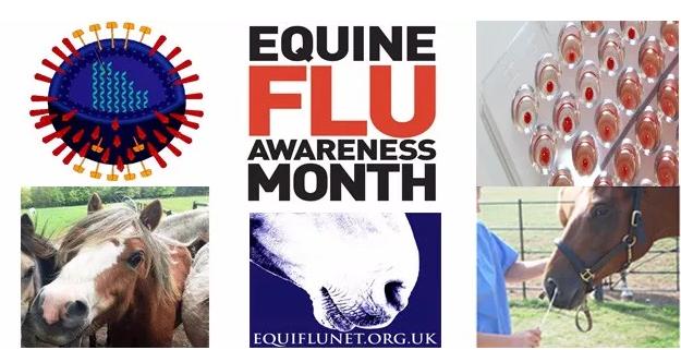 马流感是什么病毒,流感猖獗