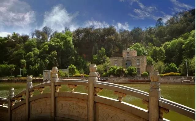 昆明看红嘴鸥最好的地方叫什么,重庆看红嘴鸥攻略