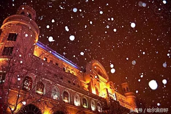 2018年哈尔滨各区县排名,2018年哈尔滨各区gdp