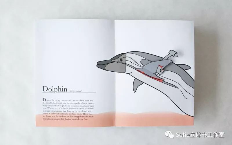 大开眼界提高认知的书籍,立体书购买推荐