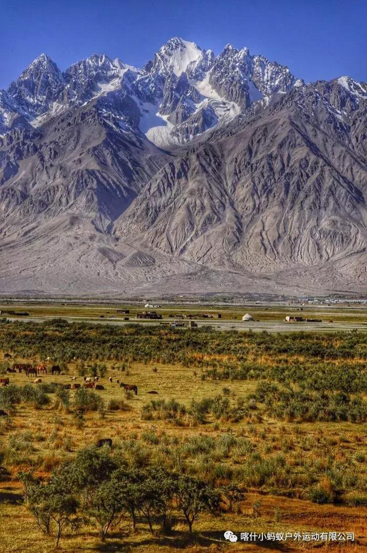 帕米尔高原肖贡巴哈尔节,帕米尔高原上的肖贡巴哈尔节