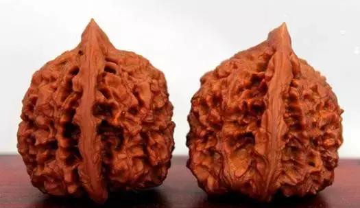 文玩核桃品种图鉴大全前十名,文玩核桃手串品种大全