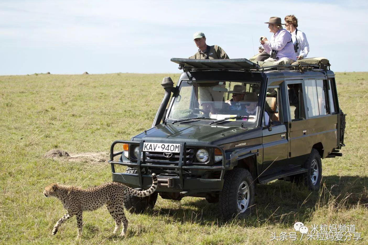 亲子游出境自由行,亲子游建议去的十个城市