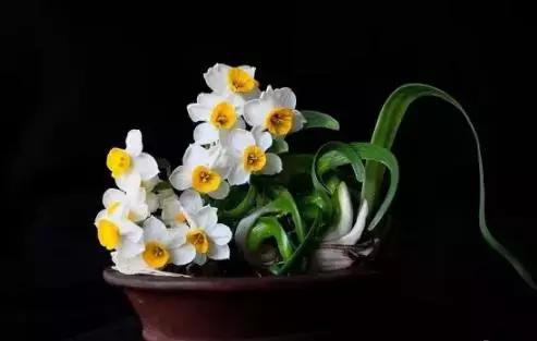 厦门漳州哪里好玩,漳州泉州厦门哪个更好玩