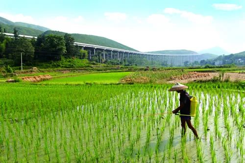 贺州特色农业产业是什么,贺州市村级经济产业示范园