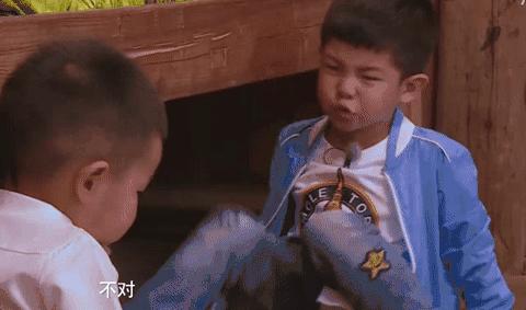 家有两儿的烦恼,家有二孩的家庭现状