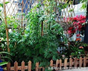 最适合年轻人的小本创业项目推荐,创业小项目最赚钱加盟