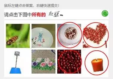 这该死的12306，谁能救救我~