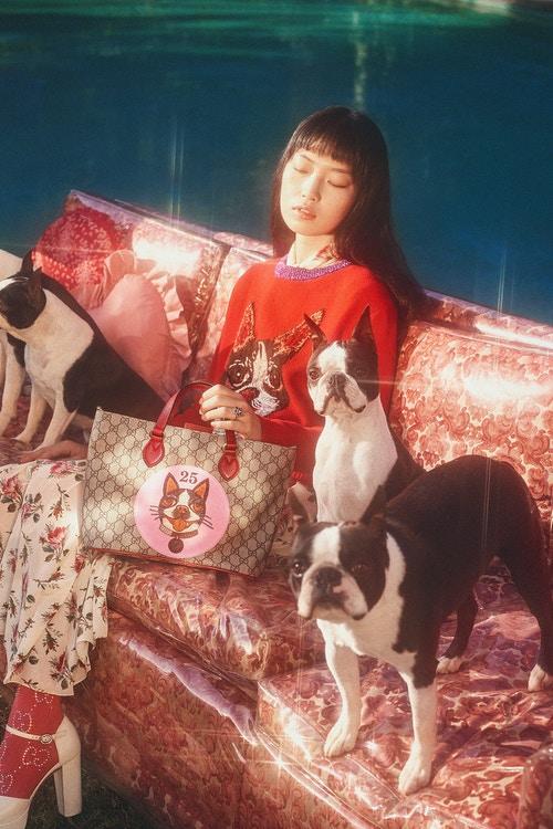 gucci狗头包,gucci狗头包2019