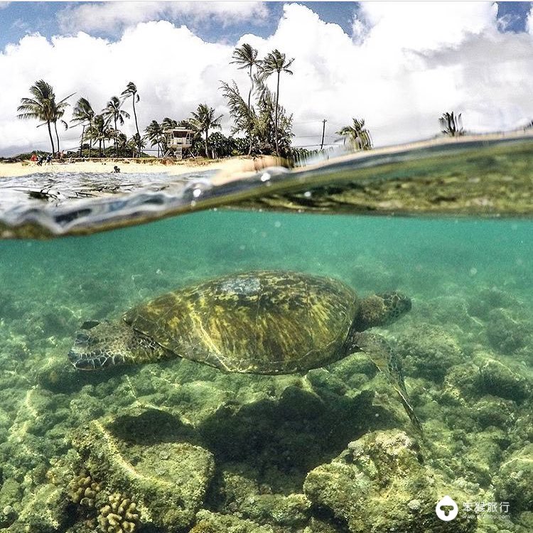 我错过的这座花园岛屿，却是美国人的最爱，连扎克伯格也飞来买地