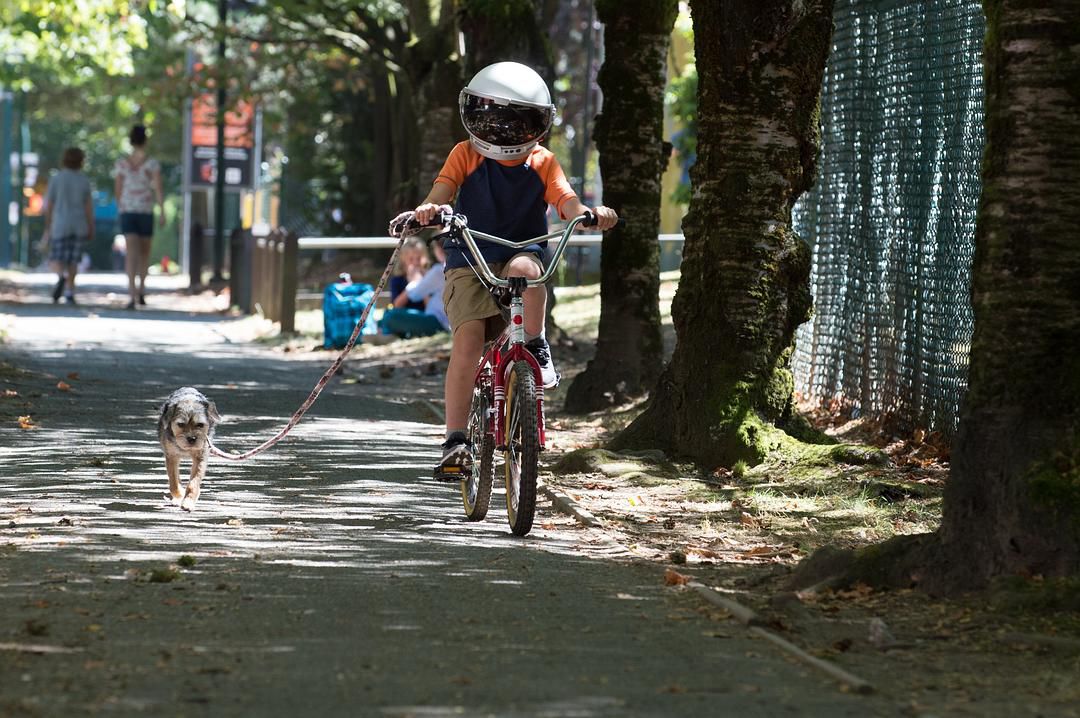 豆瓣评分8.6的感人电影,豆瓣评分8.6电影完整版