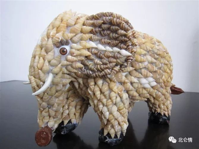 美妙绝伦、奢侈华丽的贝壳工艺品