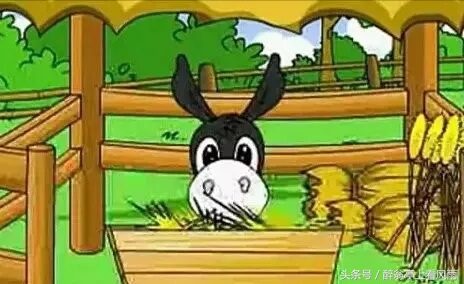 一头驴去上班太精辟了,一头去上班的驴读后感