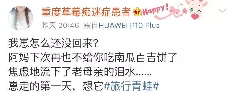 如果旅行青蛙变成这样你们还养吗,旅行青蛙中如何正确养蛙