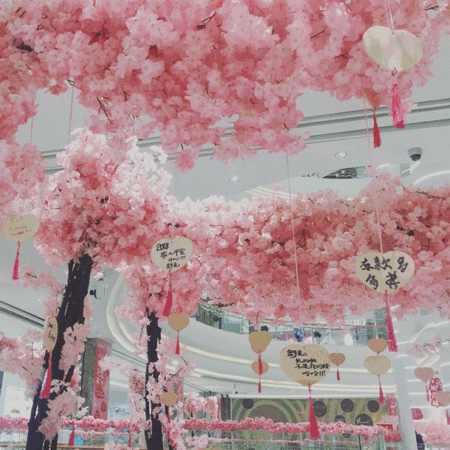 别等了！你的蛙好像恋爱了，总是去这个地方！对象竟然是鸭妹妹！