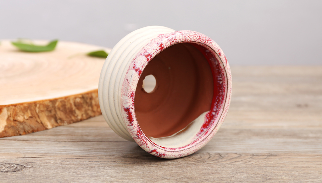 多肉拇指仙女杯适合用什么样的土,秋天多肉仙女杯怕淋雨吗