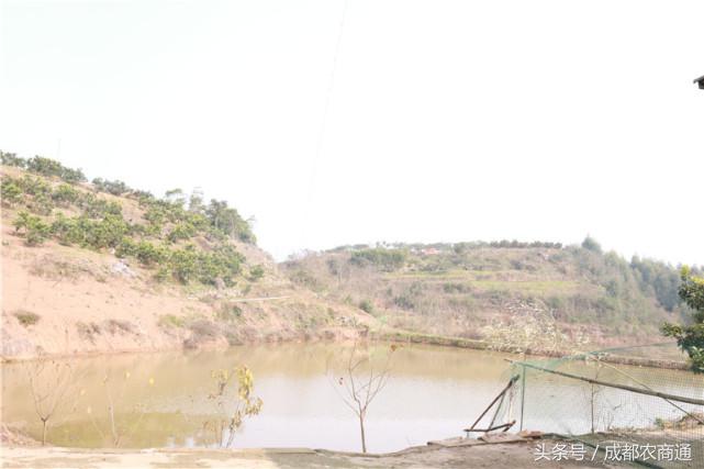 苦守荒山数十载，宝剑锋从磨砺出！