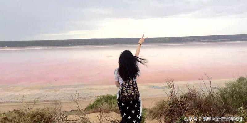 初到澳洲,留学娃们要寄这些明信片