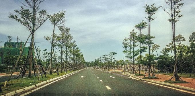 三亚旅游攻略纪念品,自驾游海南三亚必备物品清单