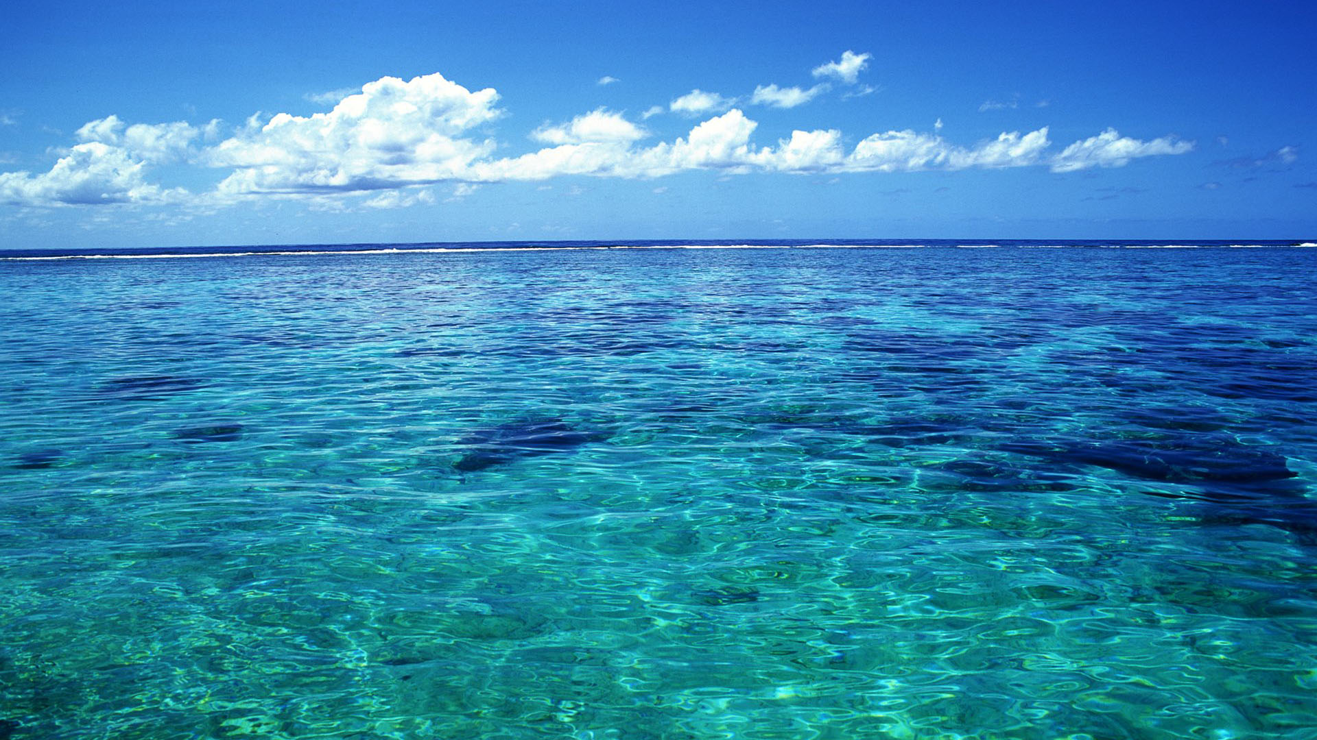 塔希提岛秘鲁,塔希提岛moon