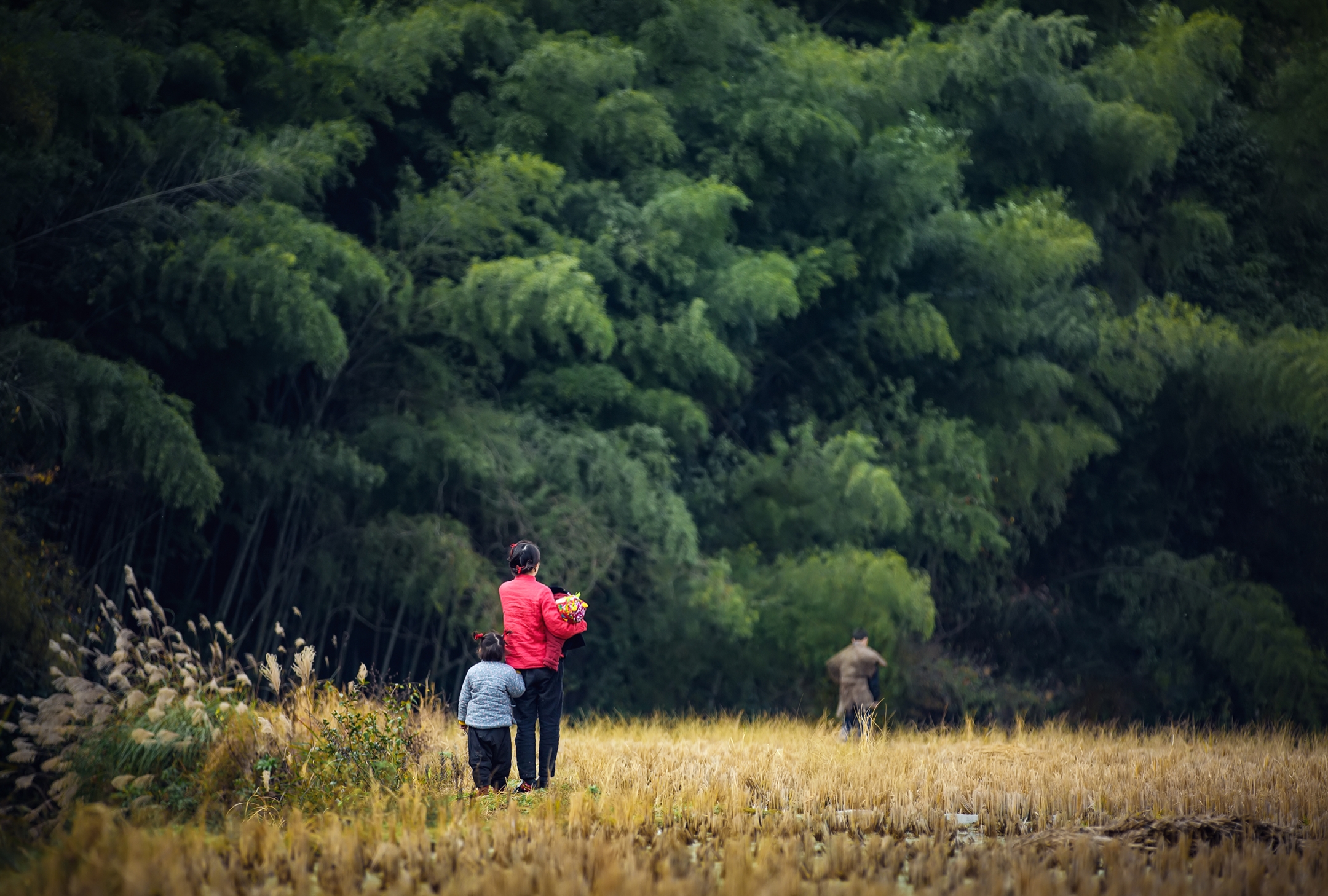 湘西龙脉风水传说,湘西龙山龙脉风水宝地