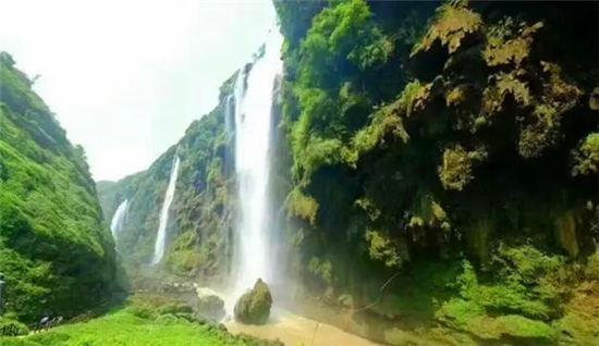 落地自驾云贵黄果树瀑布罗平油菜花元阳梯田西双版纳11日游