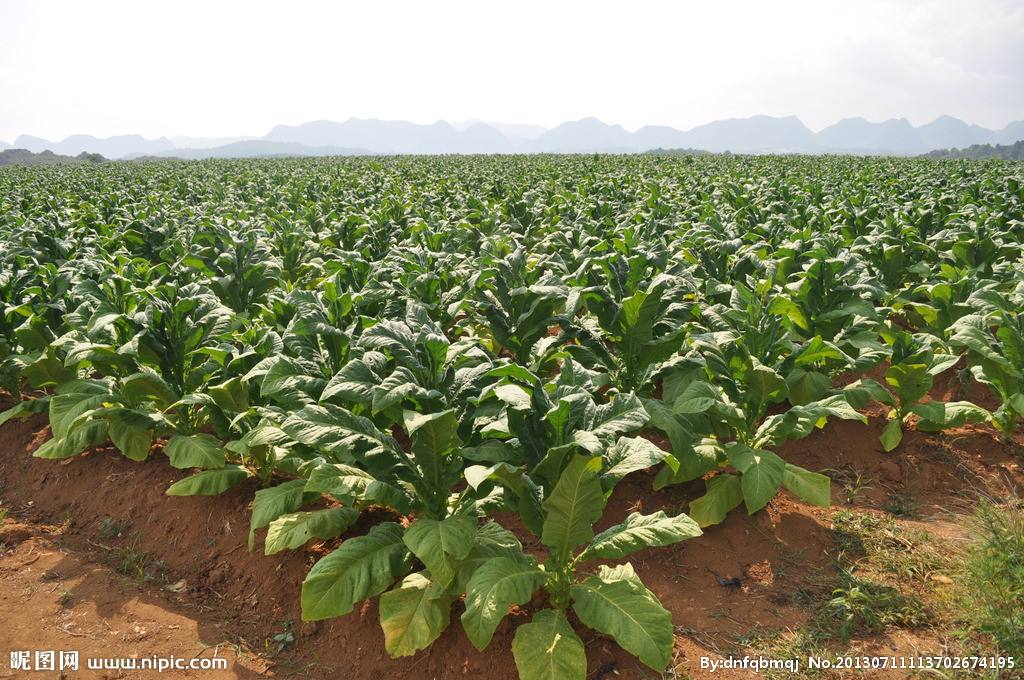 王健林说赚一个亿的小目标图片,王健林小目标先挣一个亿表情包